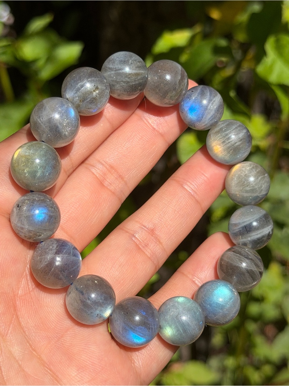 13.5mm High Flashh Labradorite Bead Stretch Bracelet 2175